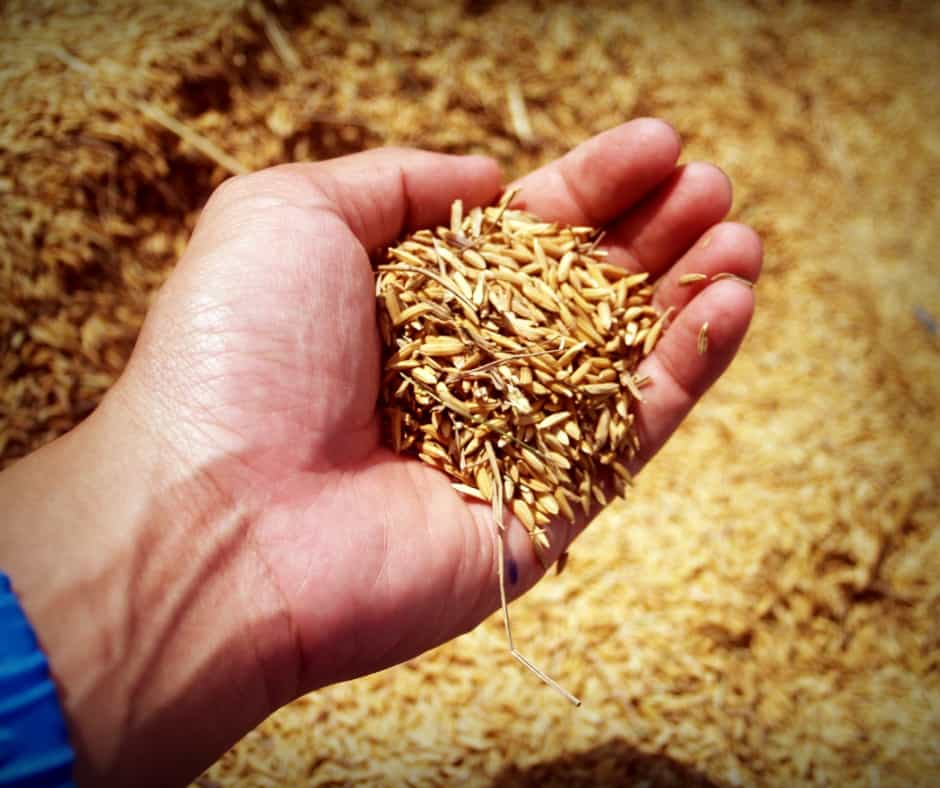 Produtos, Mercadorias e Matéria Prima